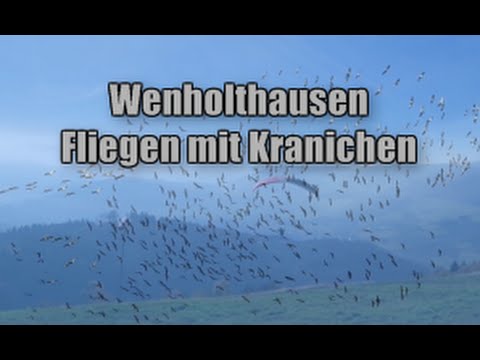 Wenholthausen - Fliegen mit den Kranichen